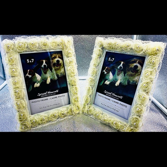 Nothing but Roses - Picture 3 of 4